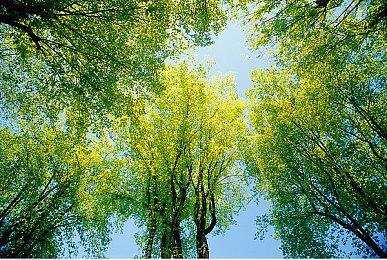 八折优惠 经典游戏作品《铁路帝国》史低价格促销